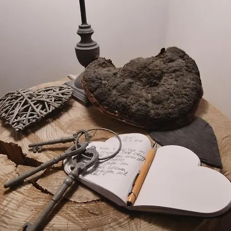 S'harzala Taupe Apartment