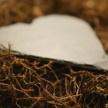 S'harzala Taupe Apartment *