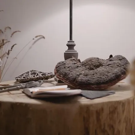 Apartment S'harzala Taupe Bergheim