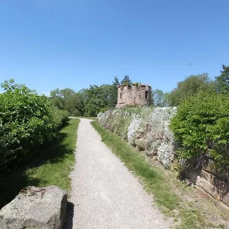 S'harzala Taupe Bergheim